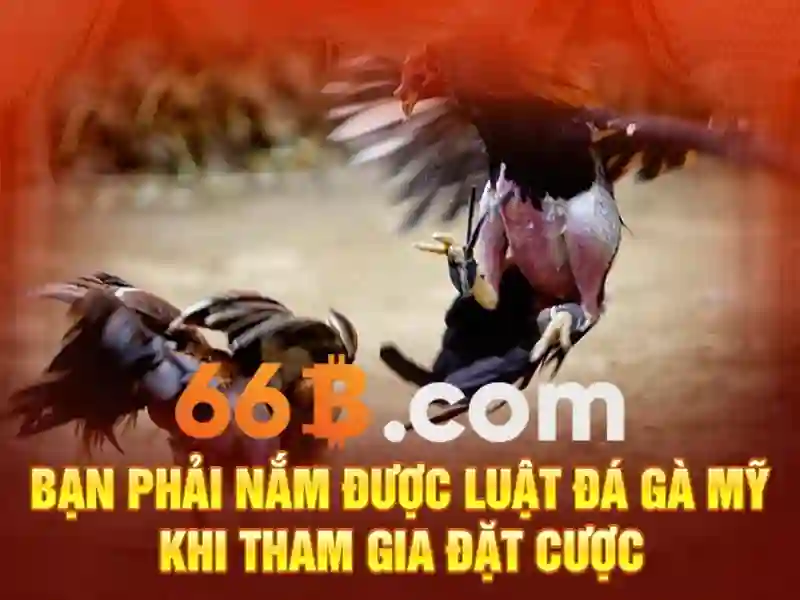 Quy mô và ý nghĩa tham số 66b