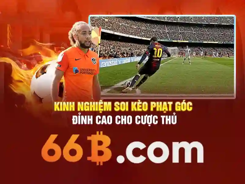 66b là một khái niệm trong công nghệ và văn hóa số