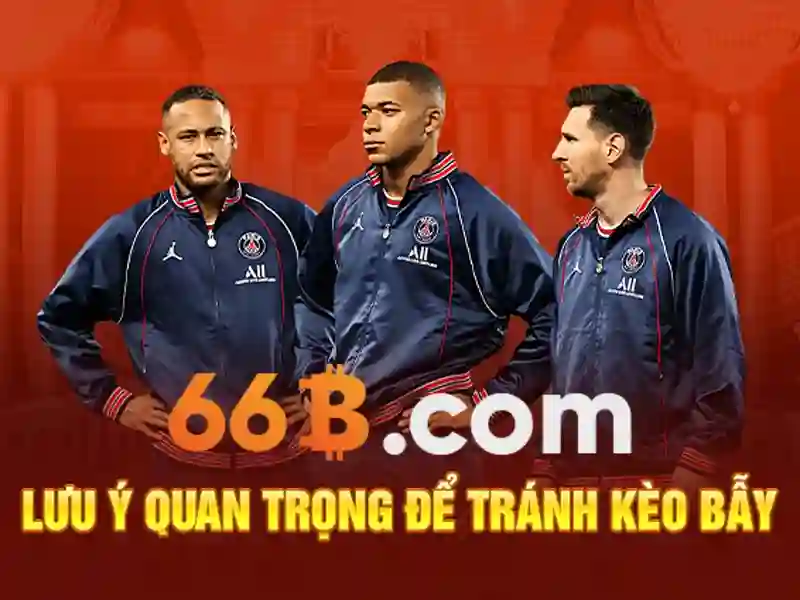 66B là gì: Khái niệm và ứng dụng
