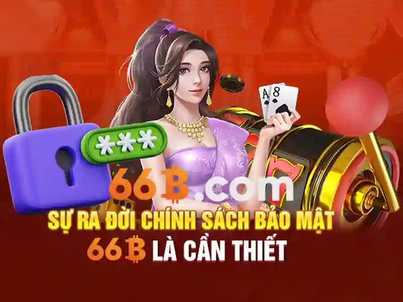 66B là gì?