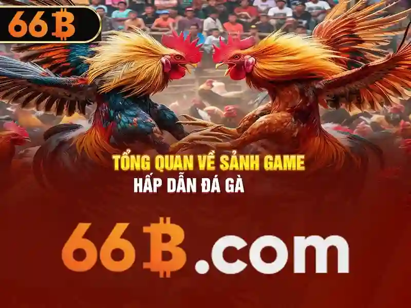 66b: một con số của bí ẩn