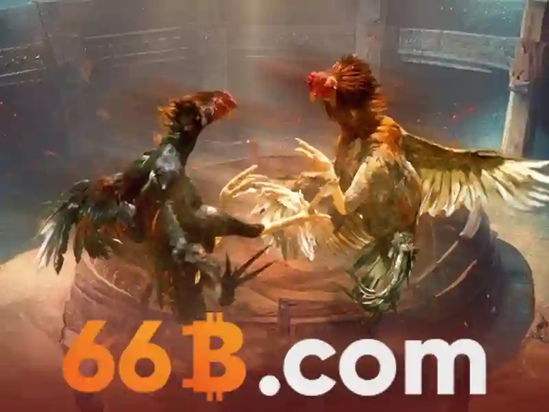 cd 66b fitc – Tổng quan chủ đề và giá trị cốt lõi