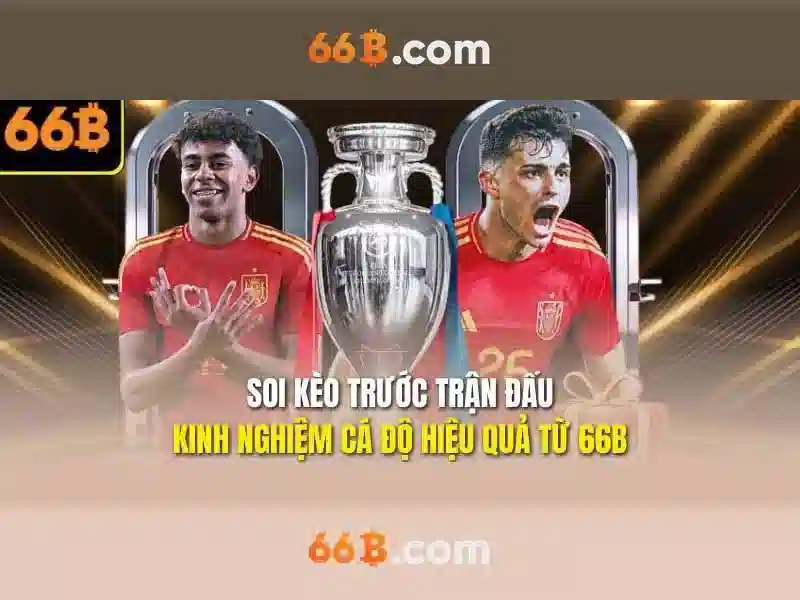 66B là gì