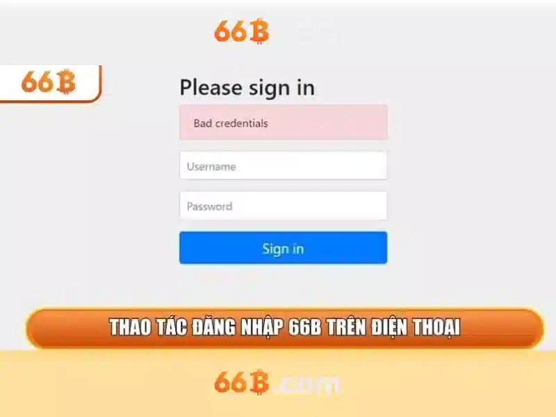 Đặc điểm của kích thước 66B