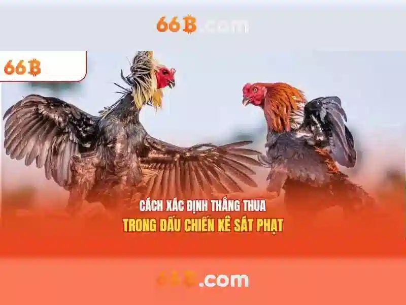 Đào tạo và dữ liệu