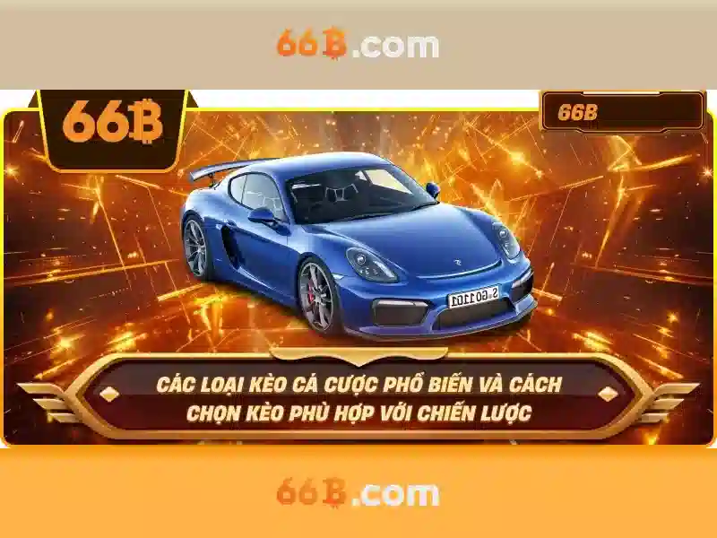 Trải nghiệm người dùng và cộng đồng