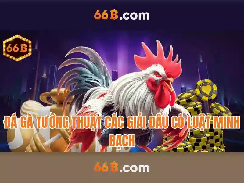 Đặc điểm chính của 66B