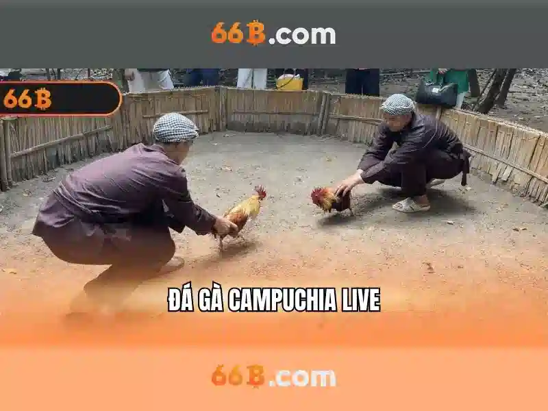 Biểu tượng chứng thực và giấy phép 