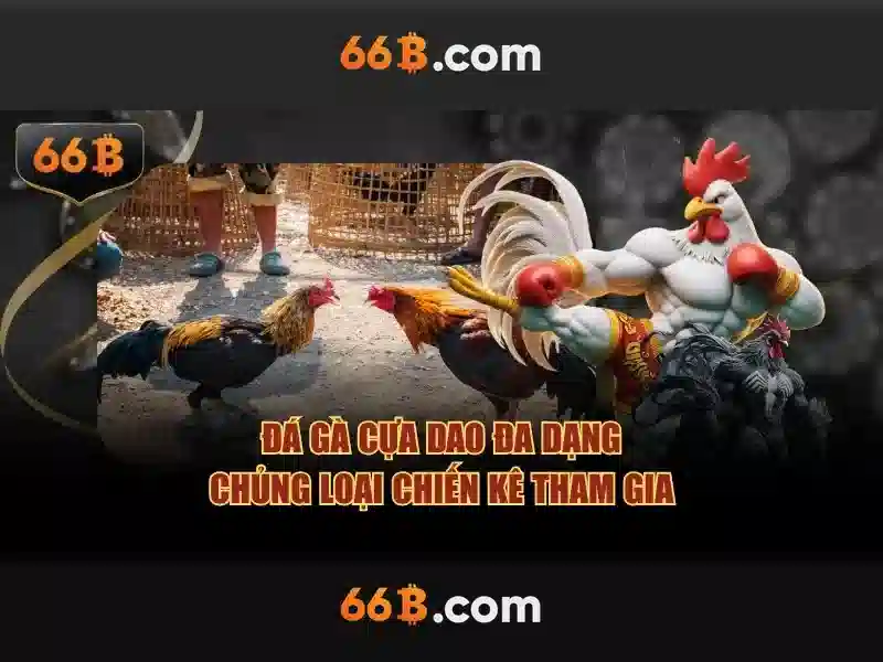 Y nghia va cach chon ao nguc