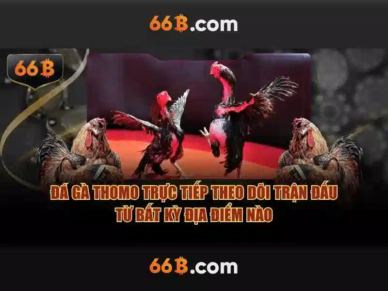 66b hạ long vũng tàu: trải nghiệm đỉnh cao và ứng dụng