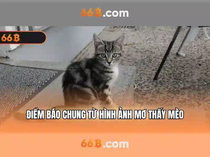 Nhập code 66b – Tổng quan chủ đề và giá trị cốt lõi