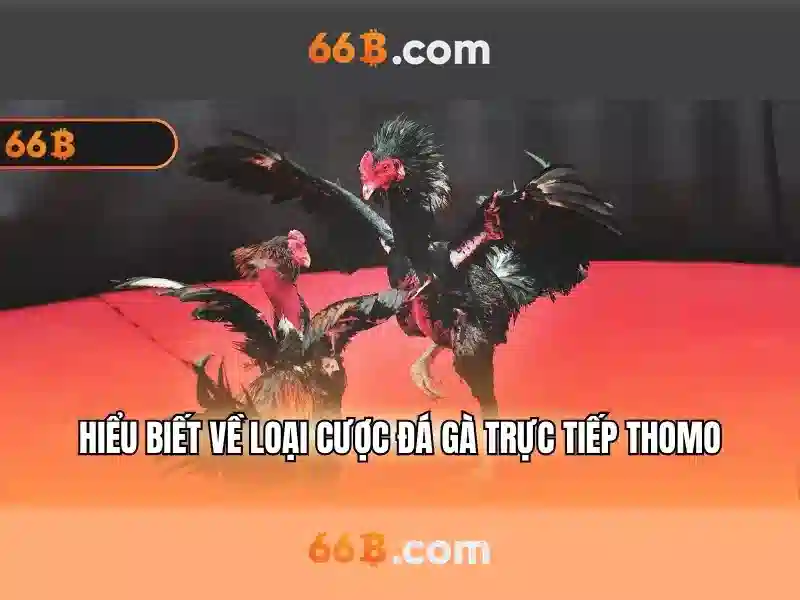 66b là gì? Khái niệm và ứng dụng trong công nghệ