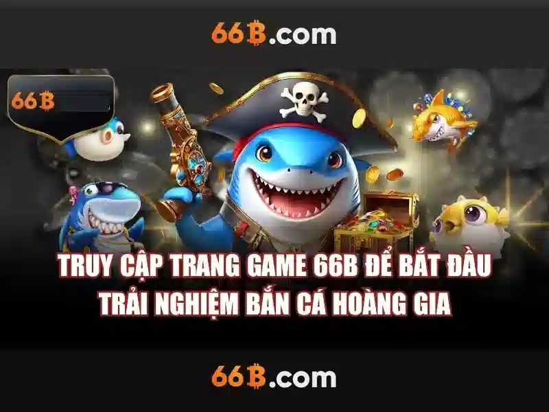 66b là gì?