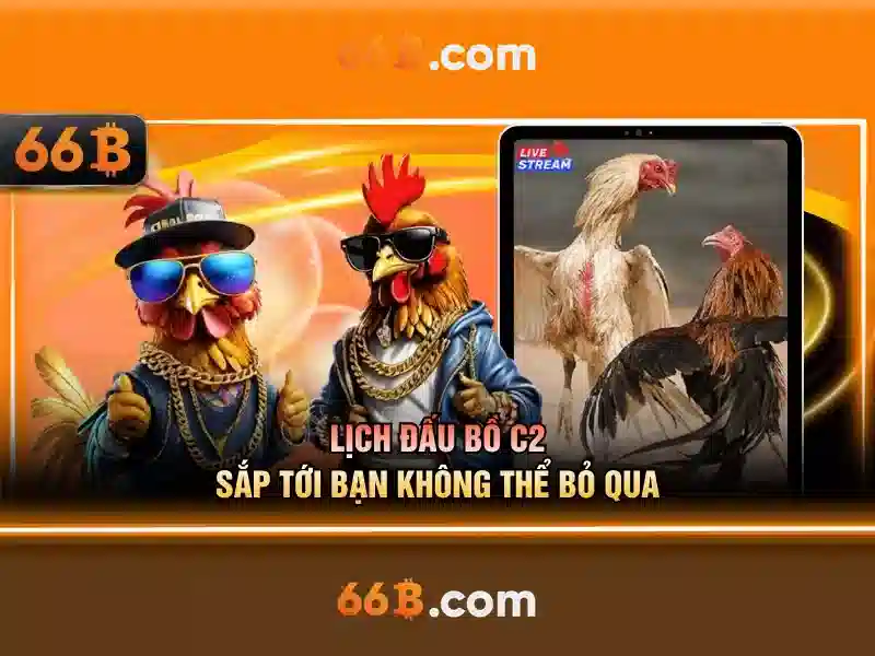 66b có nguồn gốc và ý nghĩa