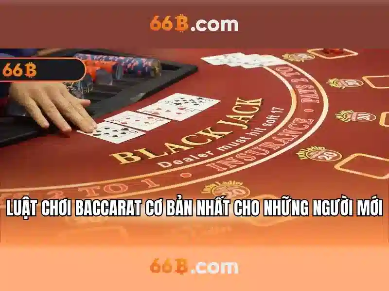 Kiến trúc và kỹ thuật của 66b