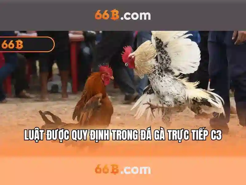 Kiến trúc và hành vi