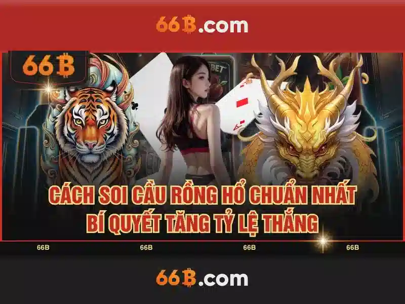 Hiệu suất và ứng dụng