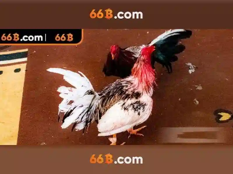 66b: Một khái niệm và hành trình của nó