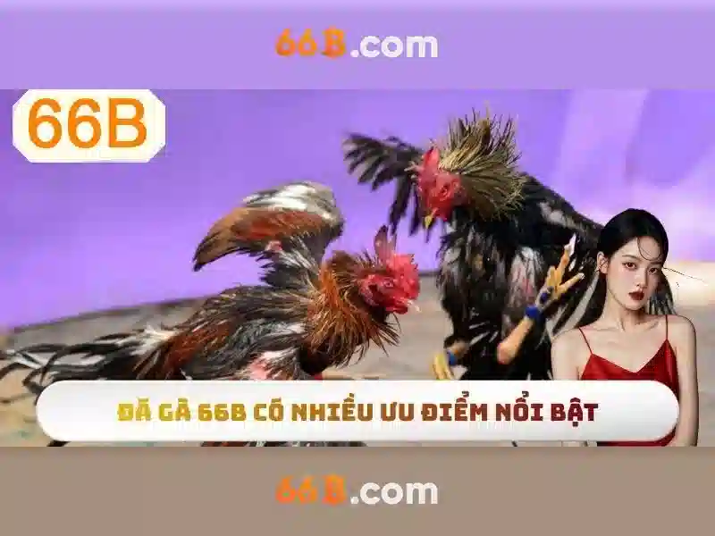 Hiệu suất và thách thức khi triển khai