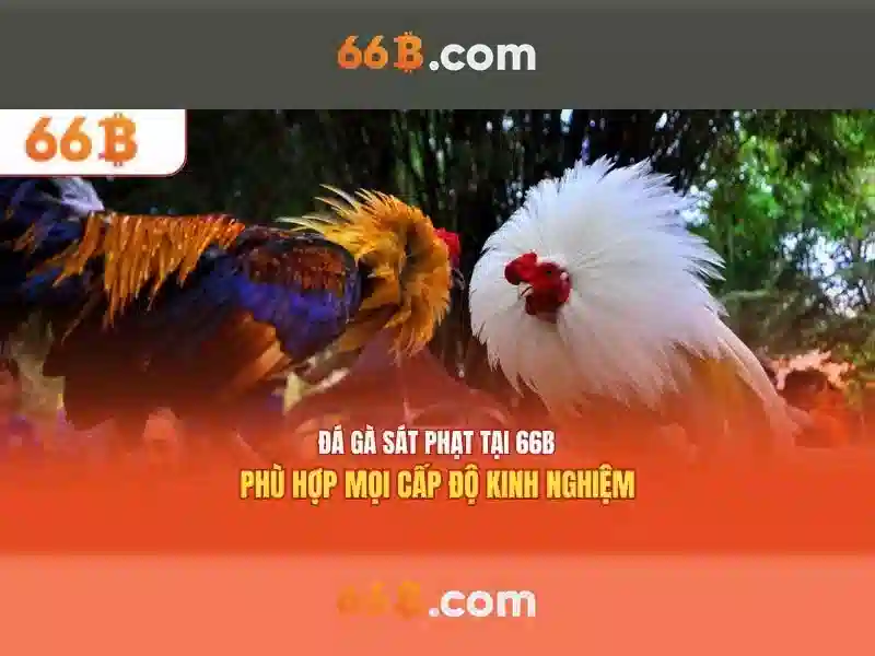 66B: Khái niệm và ảnh hưởng của một mô hình ngôn ngữ với 66 tỷ tham số