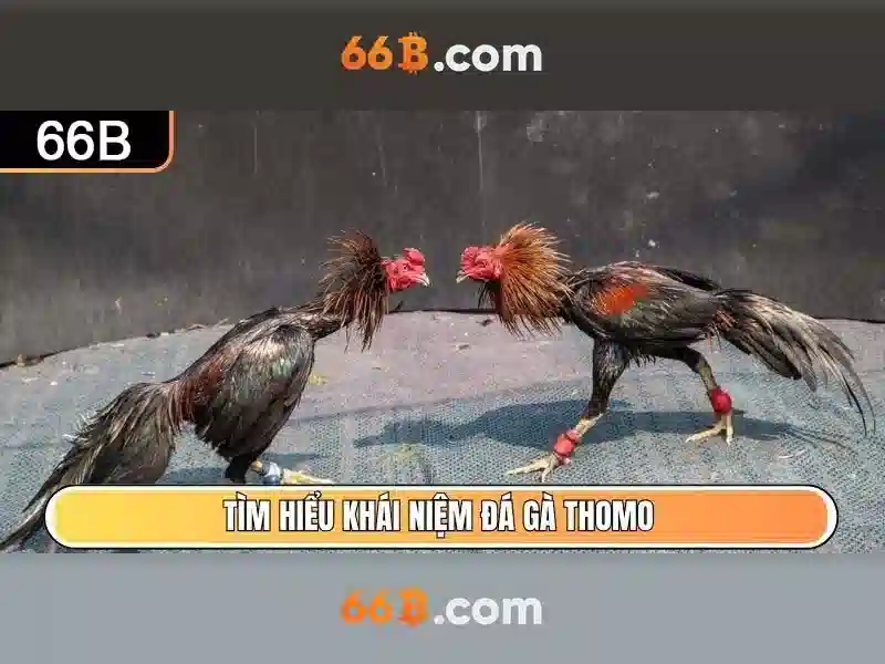 66B: một mô hình ngôn ngữ quy mô lớn