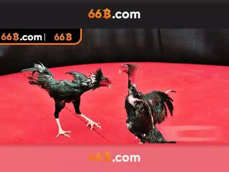 66b: một cái nhìn về mô hình có 66 tỷ tham số