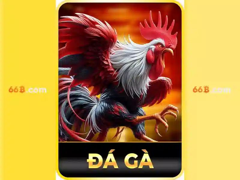 Hiệu suất và các rủi ro về an toàn