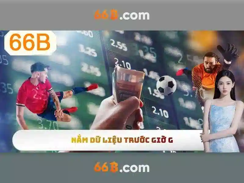 66b: một khái niệm trong văn hóa số