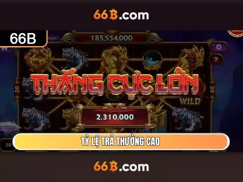 66b: khái niệm và hành trình khám phá