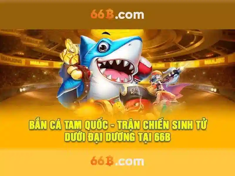 66B và những đặc điểm nổi bật