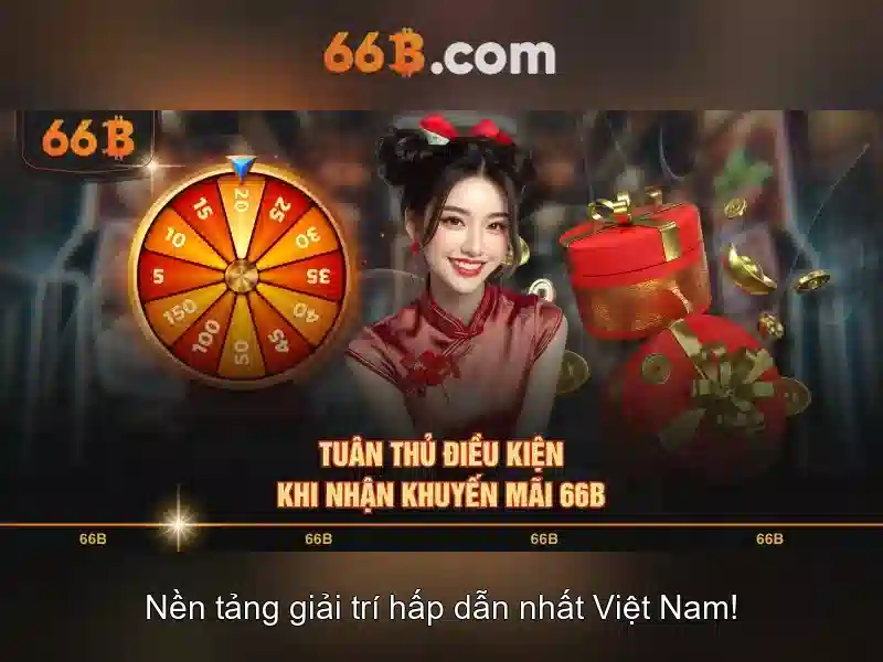66B là gì?