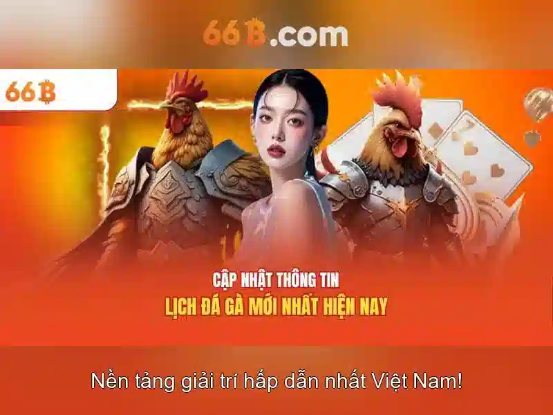 66B là gì?