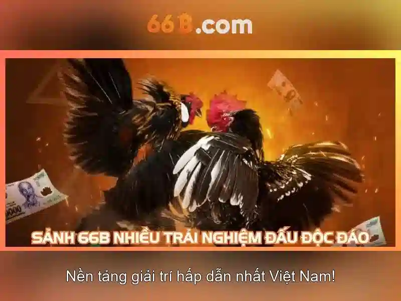 Kiến trúc và hiệu suất của 66B