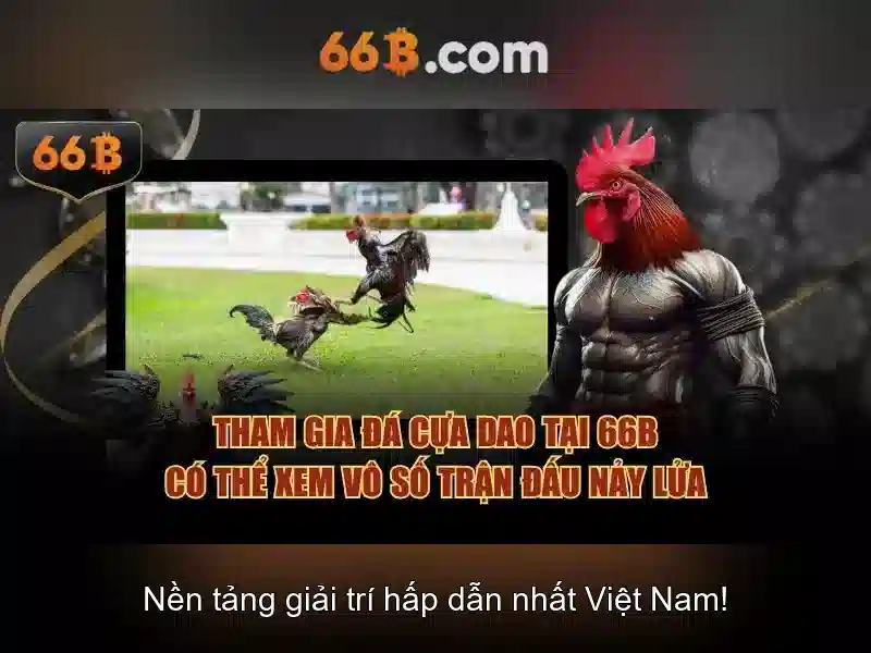 66b là gì?
