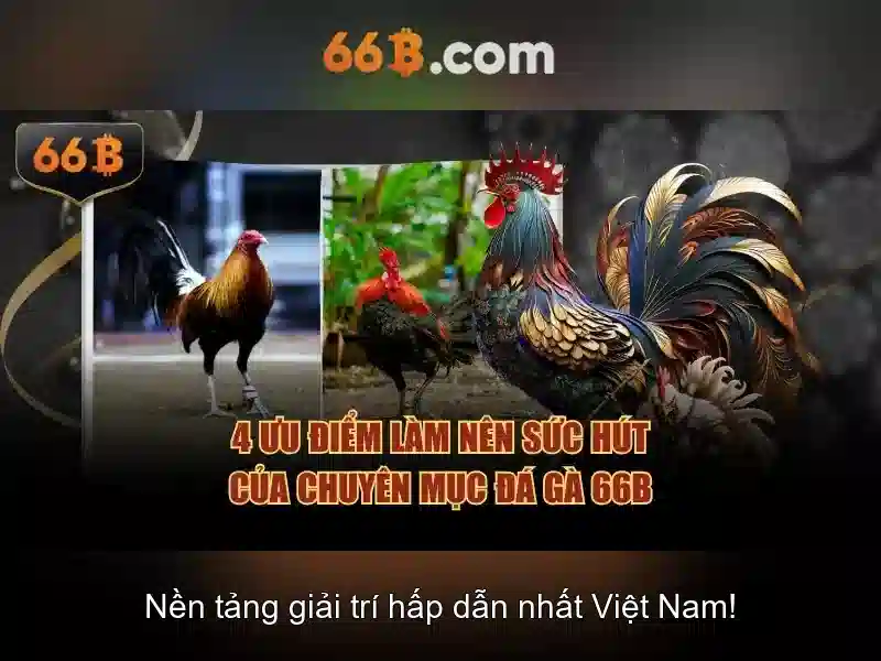 Khai thác và trường hợp sử dụng hợp lệ
