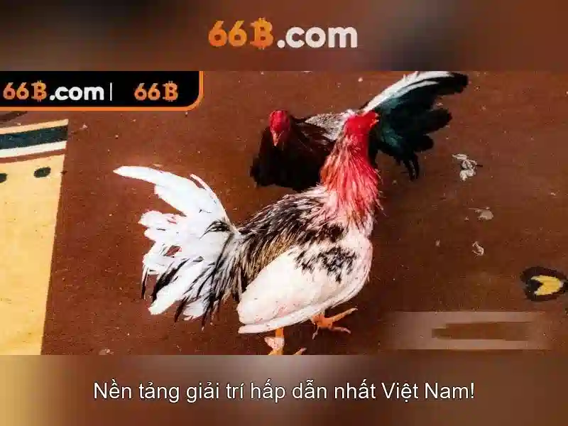 Ý nghĩa khoa học và ứng dụng