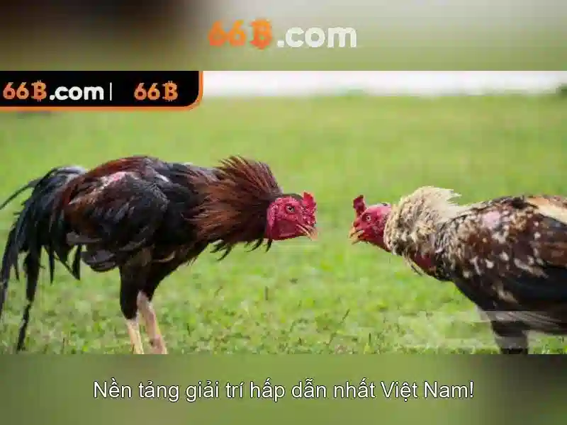 66b: Mô hình ngôn ngữ 66 tỷ tham số và ứng dụng