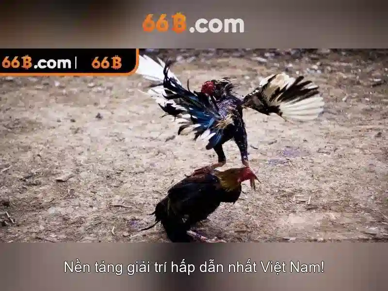 Kiến trúc và tham số