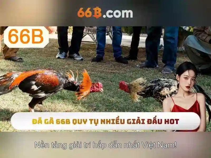 66b: khái niệm, lịch sử và ứng dụng