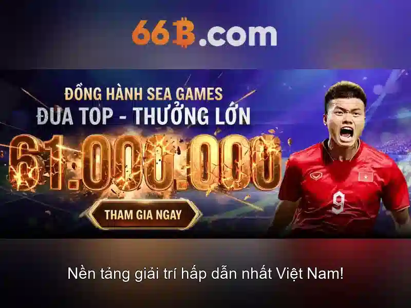 66b là gì và tại sao nó được chú ý