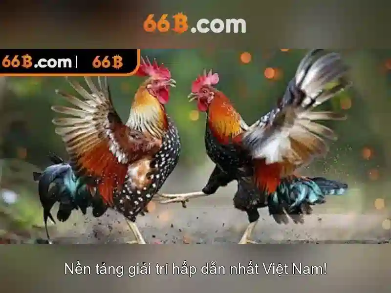 66b: một cái nhìn tổng quan