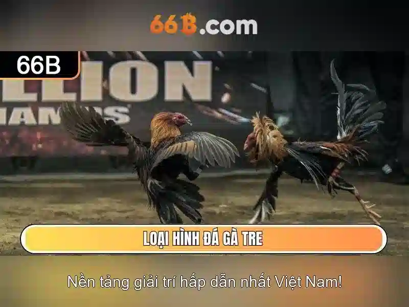 66b - một khái niệm công nghệ đầy tiềm năng