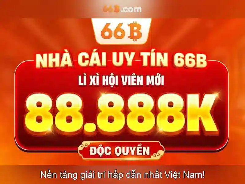66b là gì?