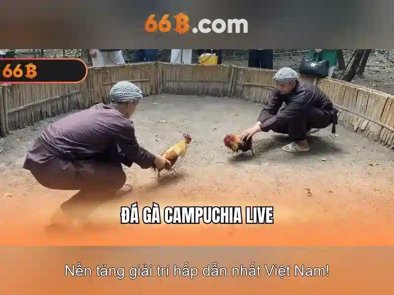 Kiến trúc và kích thưởng của 66b