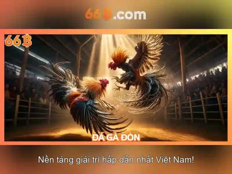 66b: Câu chuyện của lớp học đặc biệt