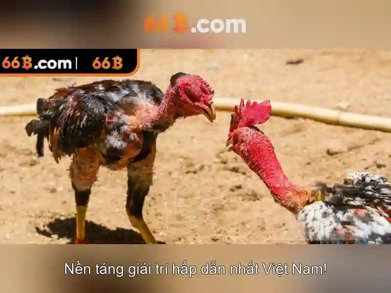 Kiến trúc và đặc điểm tiềm năng