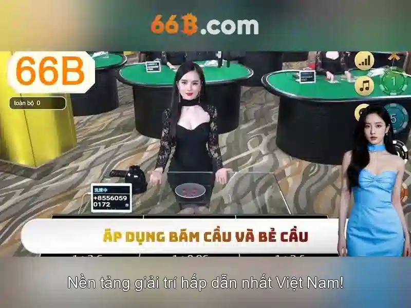 Khái niệm cơ bản về 66b