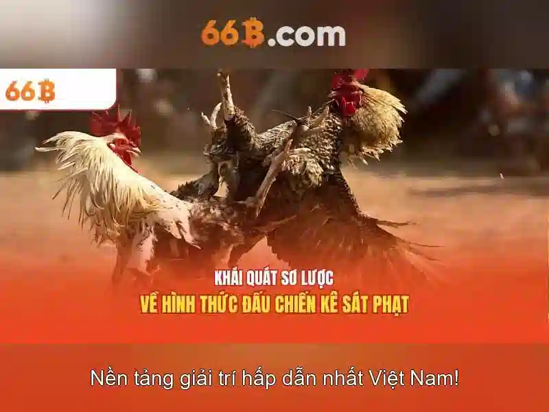 Triển khai và tối ưu