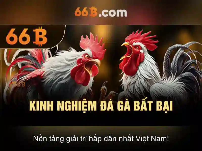 Ứng dụng trong ngành và các thách thức
