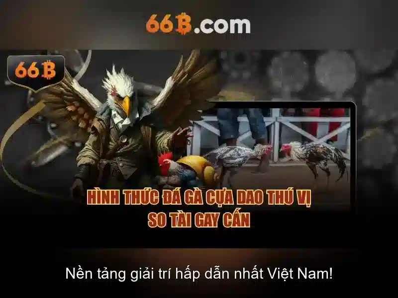 66b trong cộng đồng và văn hóa số